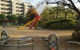 南台ふじみ公園の画像