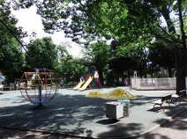 羽根木公園