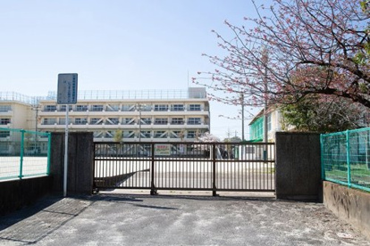 市川市立大野小学校の画像1