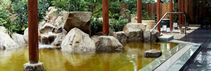 豊島園 庭の湯の画像2