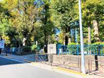 文京区立竹早公園