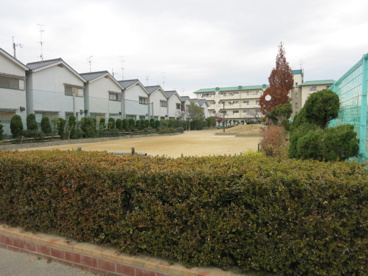 上神田公園の画像1