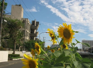 藤沢市立大清水中学校の画像1