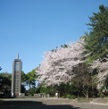 八幡山公園
