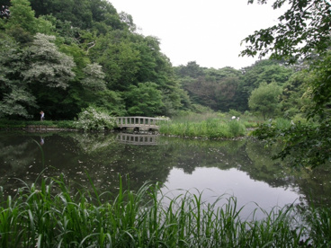 国立科学博物館付属自然教育園の画像2
