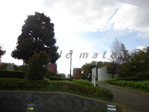 湘南台公園