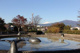 大谷近隣公園の画像