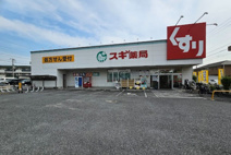 スギドラッグ 川口元郷店