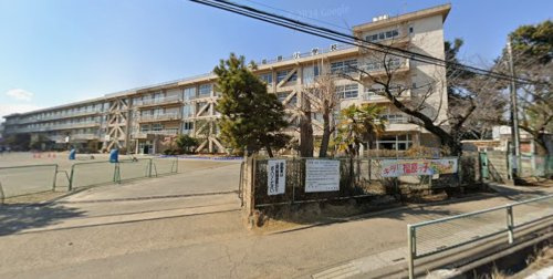 の画像