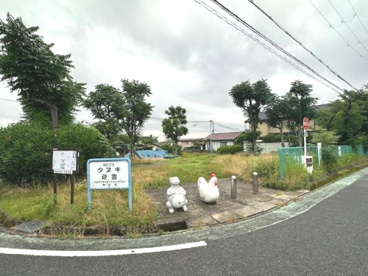 たぬき遊園の画像1