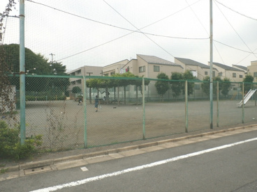 若竹スポーツ広場の画像2