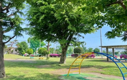 入間市運動公園の画像1