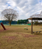 ファミリースポーツ公園