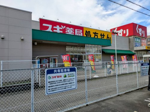 の画像
