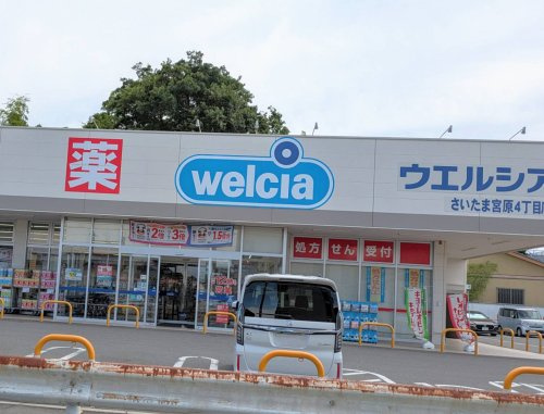 の画像