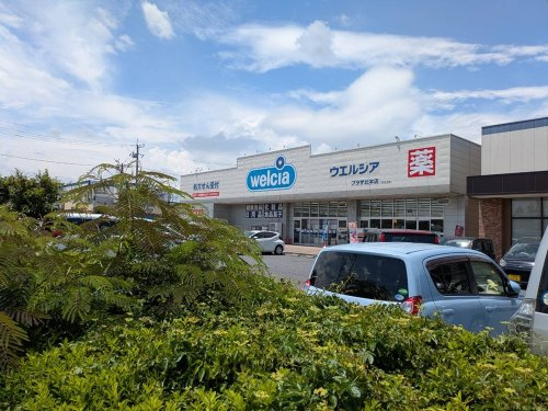 の画像
