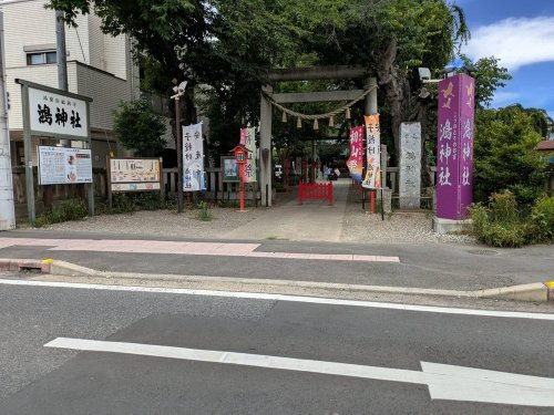 の画像