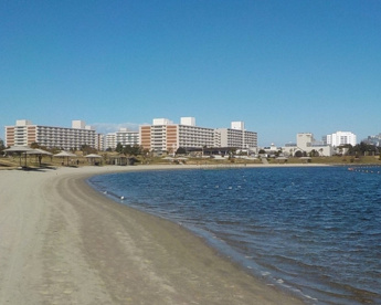 大森ふるさとの浜辺公園 ふる浜公園の画像1