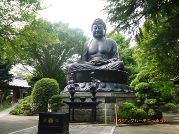 東京大仏(常蓮寺)の画像1