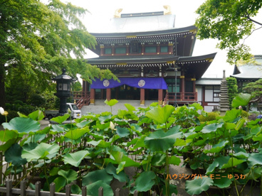 東京大仏(常蓮寺)の画像5