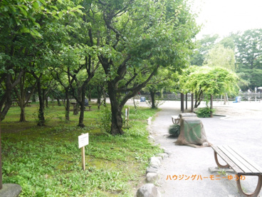 板橋区立 赤塚溜池公園の画像5