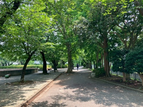 の画像