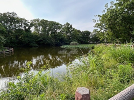 菊名池公園