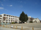 前橋市立城東小学校の画像
