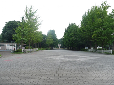 東京都立 赤塚公園の画像2