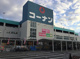 ホームセンターコーナン 布施駅前店の画像