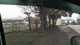丸野小学校
