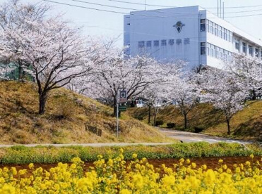 千葉県立沼南高校の画像1