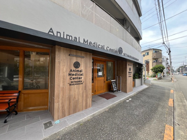 動物医療センター世田谷中町の画像1