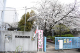 小学校 門真市水桜小学校