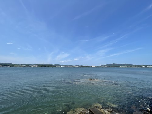 小田和湾（海）