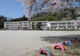 安中市立松井田小学校の画像