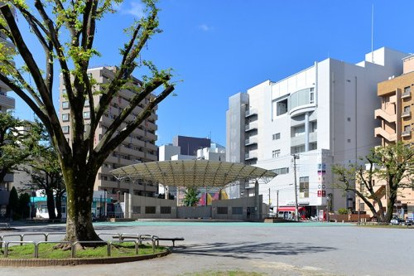 厚木公園(はとぽっぽ公園)の画像1