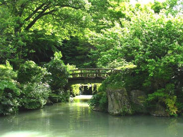 帷子川親水緑道の画像1