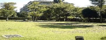高井戸藤が丘公園の画像1