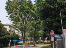 上高井戸南公園