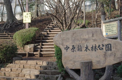 中原雑木林公園の画像1