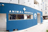 動物病院うみとそら