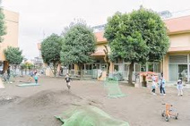 東台保育園