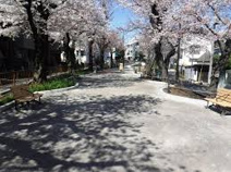 玉川上水緑道