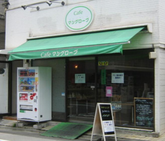 マングローブの画像1