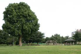 前原公園の画像1