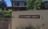 にじのいるか保育園杉並松の木