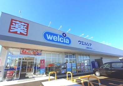 ウエルシア上越新光町店の画像1