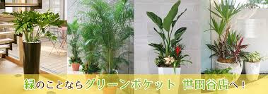 グリーン・ポケット 世田谷店の画像1