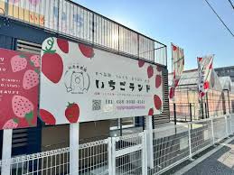 いちごランド以志井農園の画像1